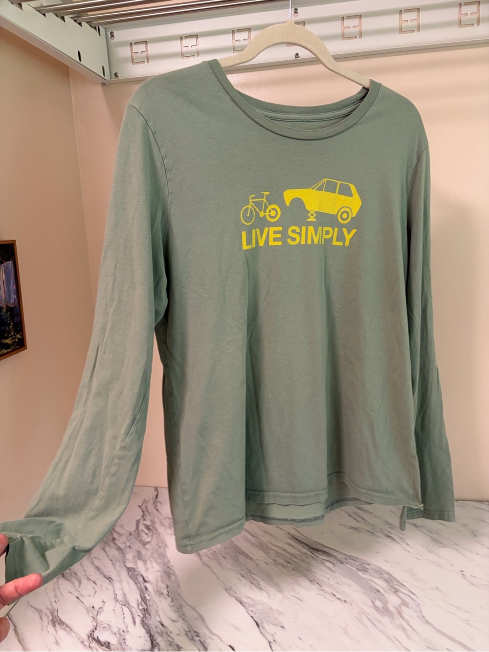 Patagonia Live Simply Car Bike Long Sleeve Graphic T-Shirt Sage Green XL